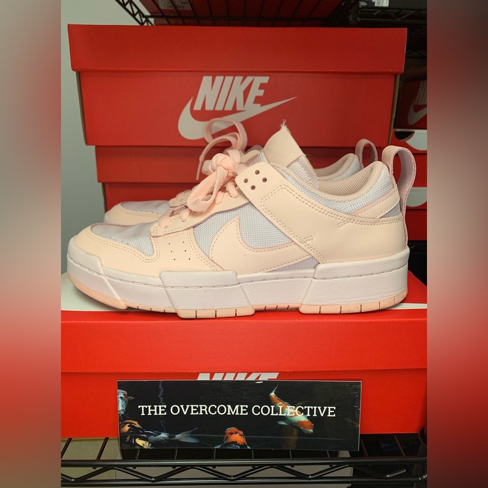 nike dunk disrupts